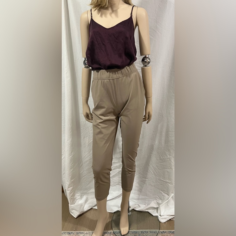 The Group by Babaton pants Taupe small